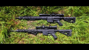AR-15 VS AR-10 (556 vs 308).