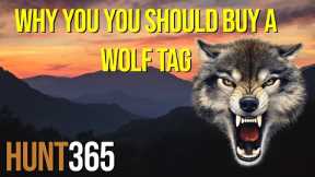 Why You Need to purchase a Wolf tag! [Hunt365]