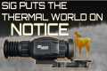 SIG ECHO SV50-LRF - Full In Depth