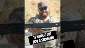 It’s a 12 gauge but not a shotgun #shorts