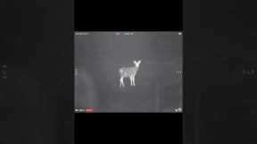 Armasight Warden Hand-Held thermal #shorts